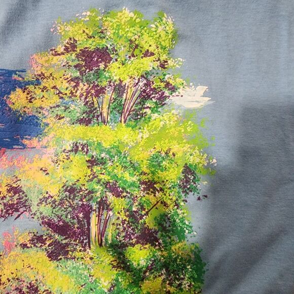 Fruit Of The Loom Brushstrokes By Hazelwood Single Stitch Tee Shirt Deadstock XL - Picture 8 of 9